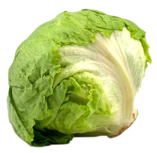 LETTUCE, each